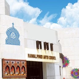 نوجوان نسل کو ڈیجیٹل اور روایتی فن کی تربیت دینے کی ضرورت ہے